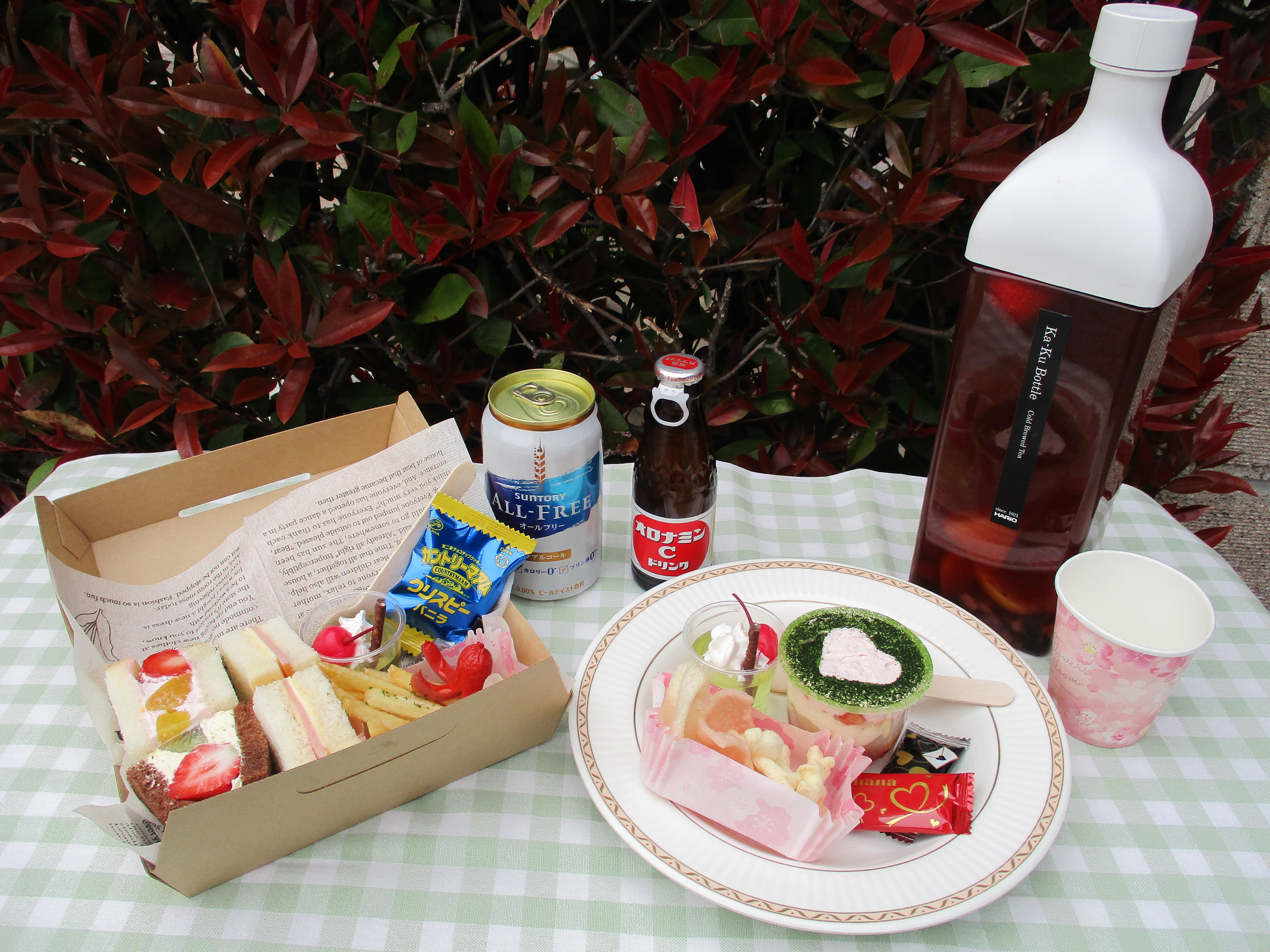 おしゃれピクニック おしゃピク ツジ胃腸内科医院